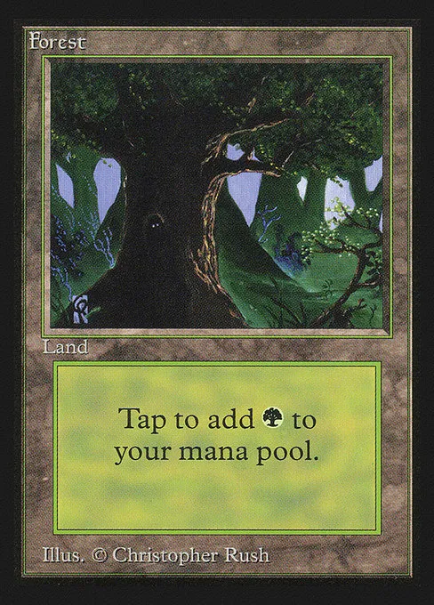 Forest - L (282)