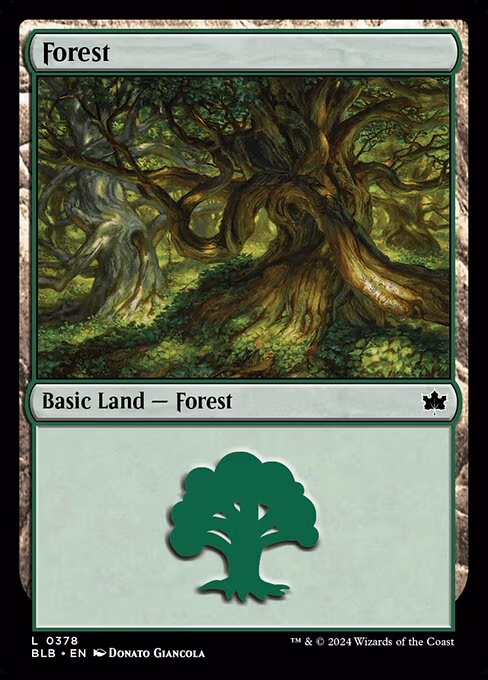 Forest - L (378)