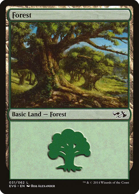 Forest - L (31)