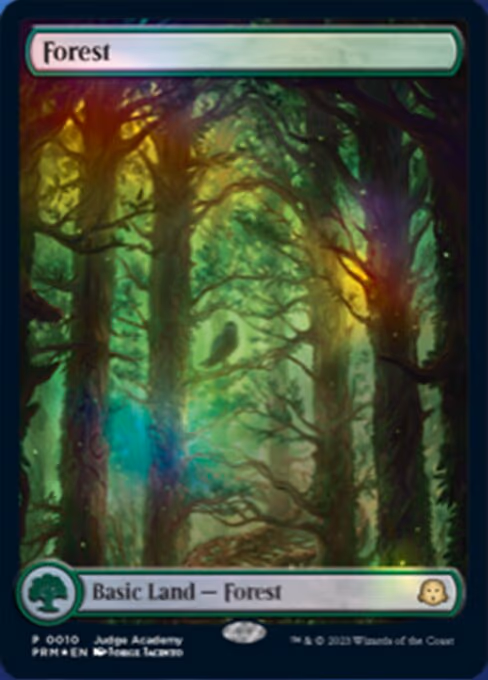 Forest