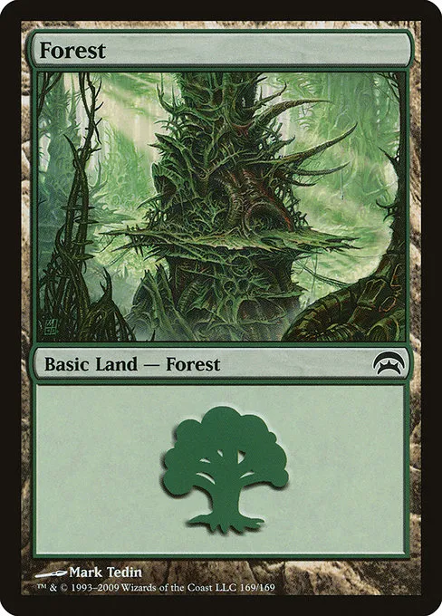 Forest - L (169)
