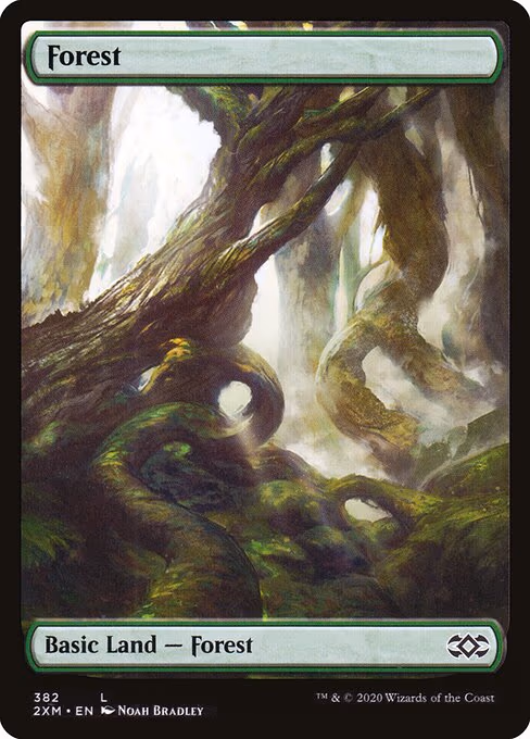 Forest - L (382)