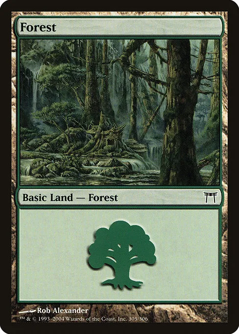 Forest - L (305)