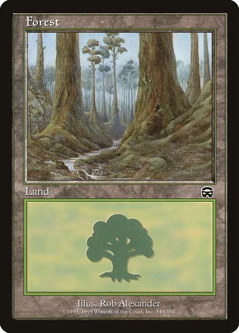 Forest - L (349)