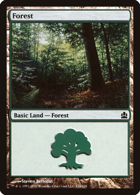 Forest - L (316)