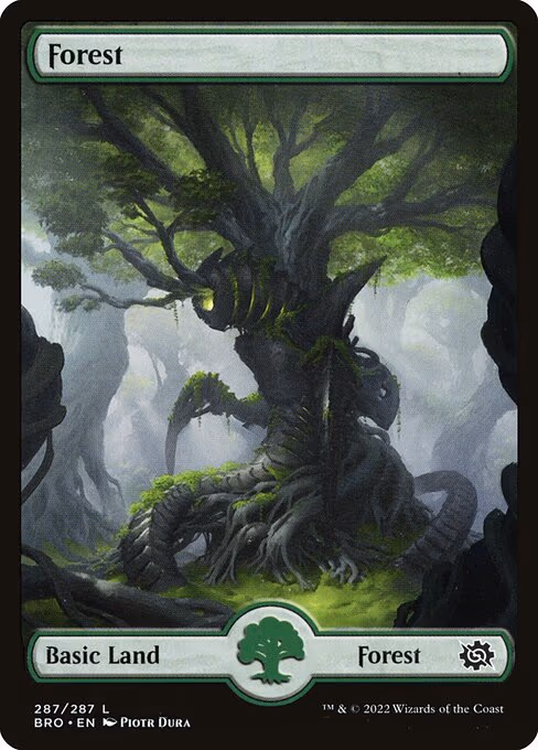 Forest - L (287)