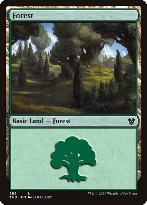 Forest - L (286)