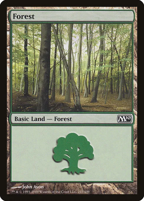 Forest - L (247)