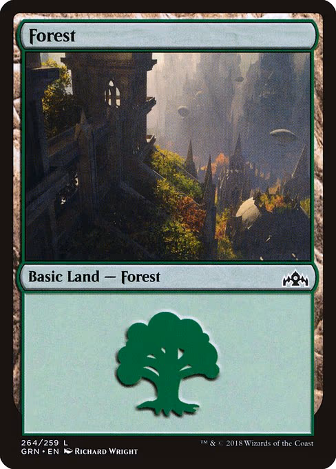 Forest - L (264)