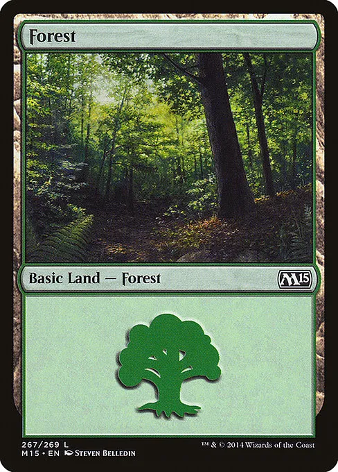 Forest - L (267)