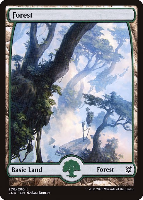 Forest - L (278)