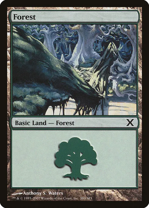 Forest - L (380)