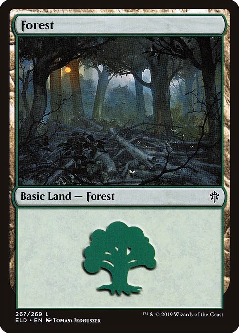 Forest - L (267)
