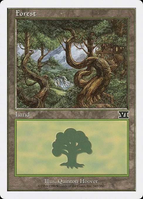 Forest - L (347)