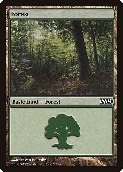 Forest - L (247)