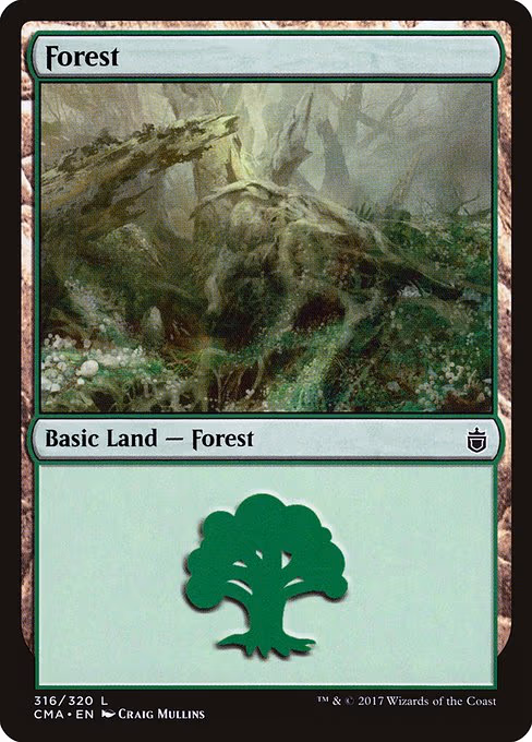 Forest - L (316)