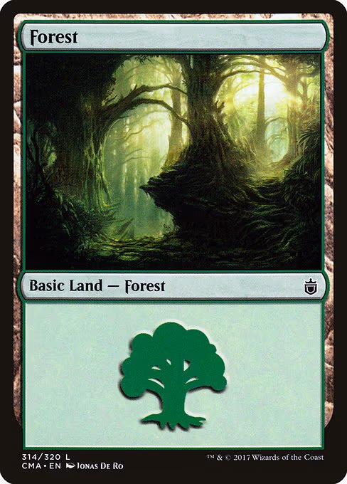 Forest - L (314)