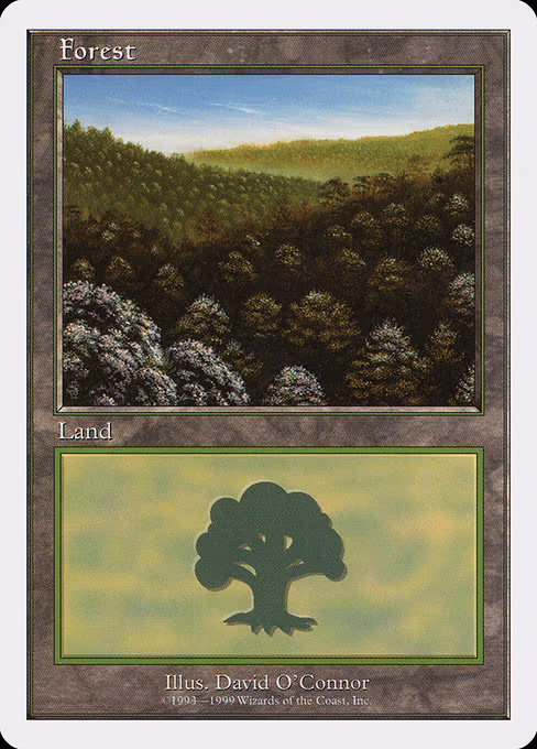 Forest - L