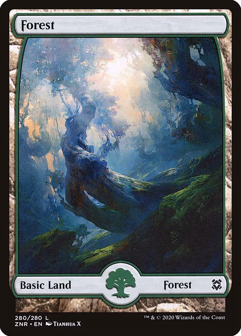 Forest - L (280)