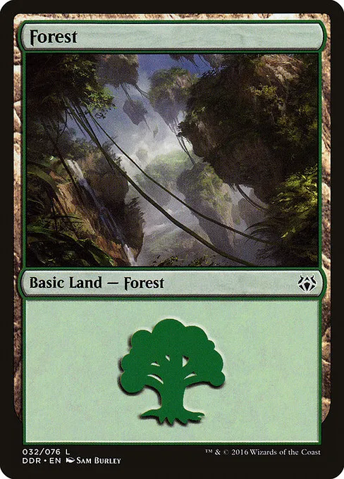 Forest - L (32)
