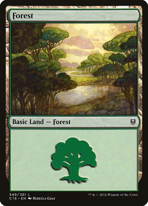 Forest - L (349)
