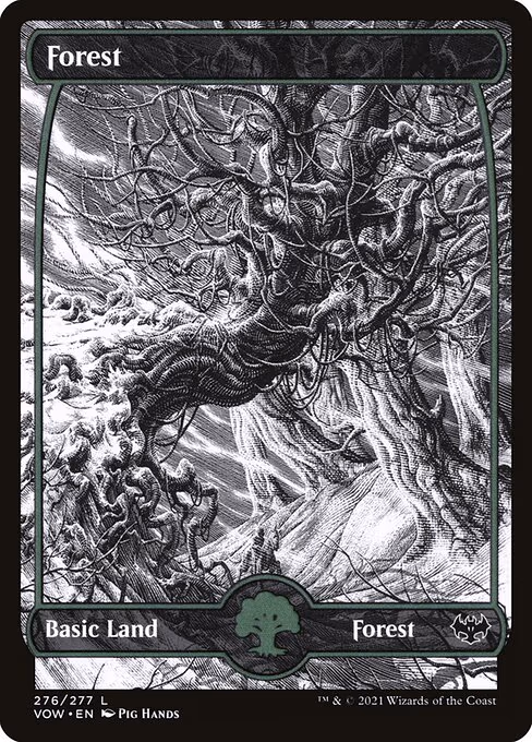 Forest - L (276)