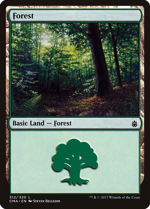 Forest - L (312)