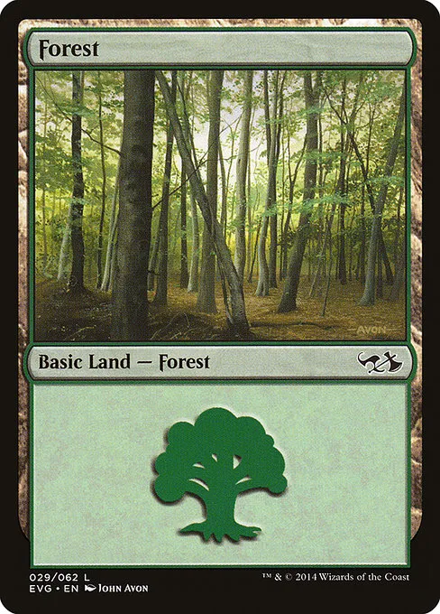 Forest - L (29)