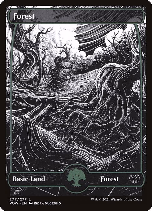 Forest - L (277)