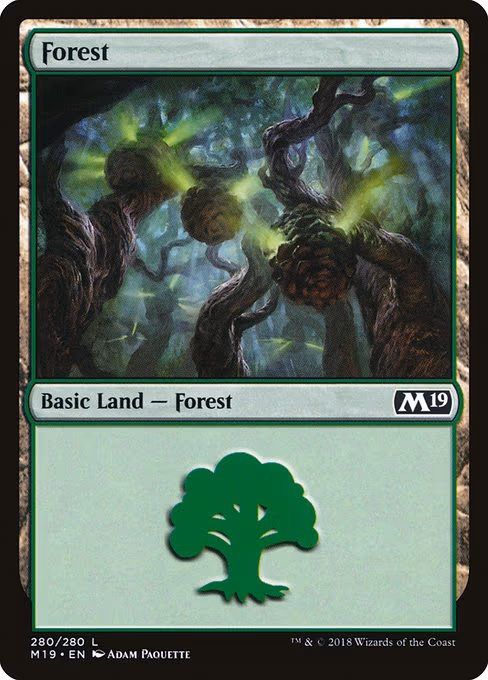 Forest - L (280)