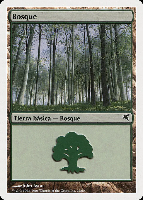 Forest (Spanish) - "Bosque"