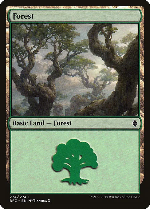 Forest - L (274)