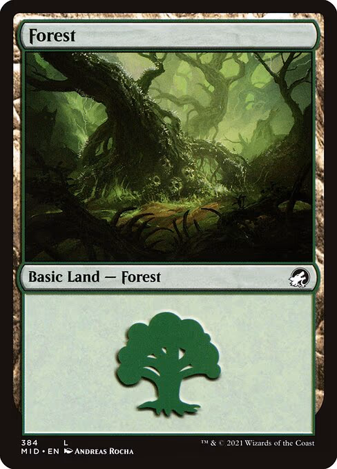 Forest - L (384)
