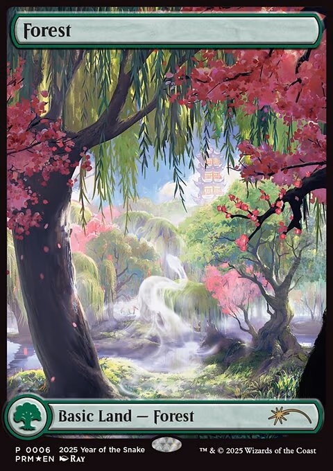 Forest