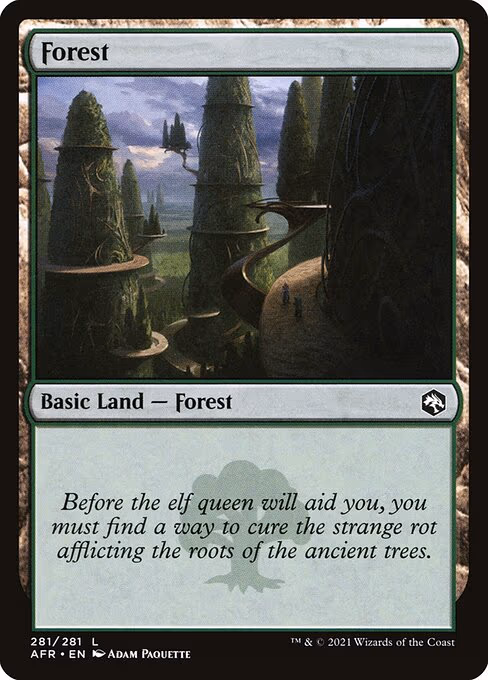 Forest - L (281)