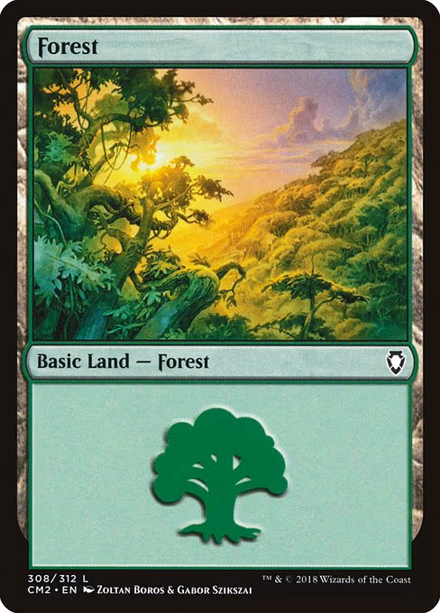 Forest - L (308)