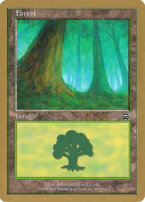 Forest (347) - 2001 Jan Tomcani
