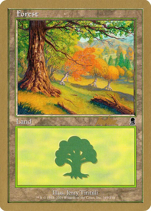 Forest (349) - 2002 Brian Kibler