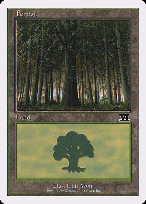 Forest - L