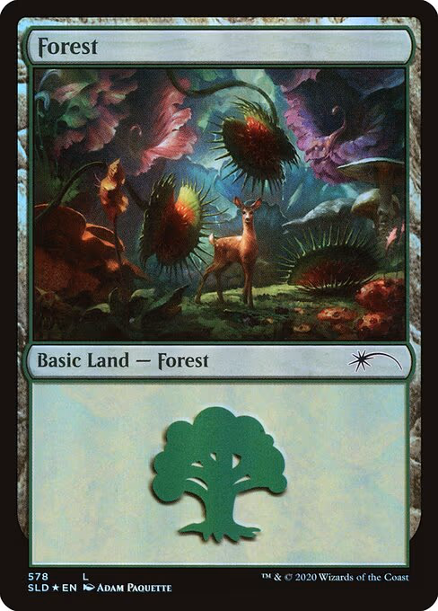 Forest - L (578)