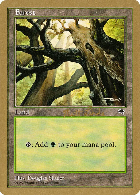 Forest (Skyward) - 1999 Matt Linde