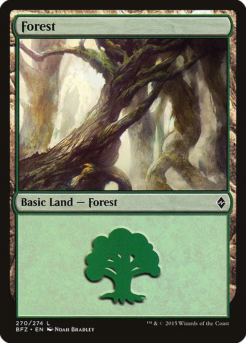 Forest - L (270)