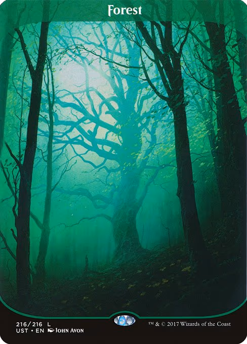 Forest