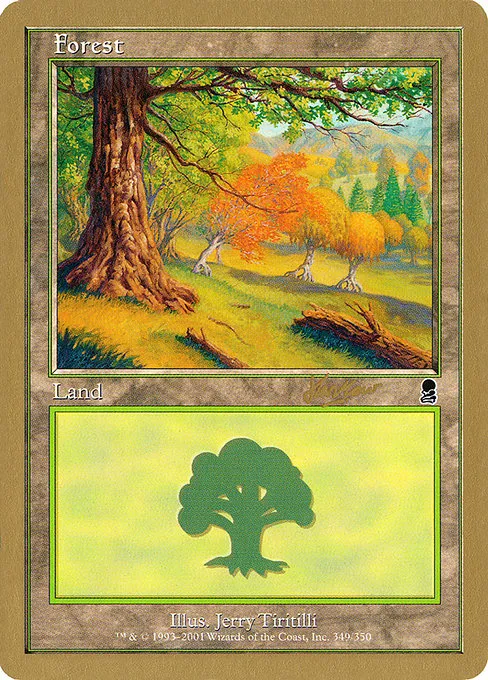 Forest - S