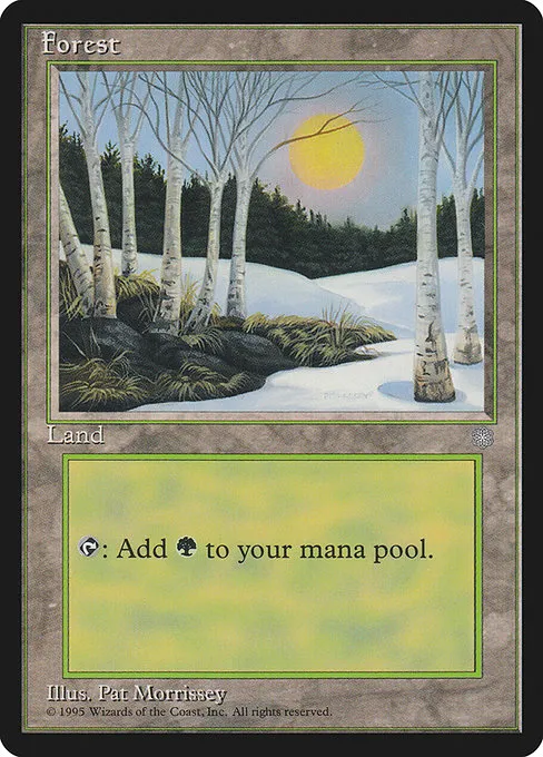 Forest - L (328)