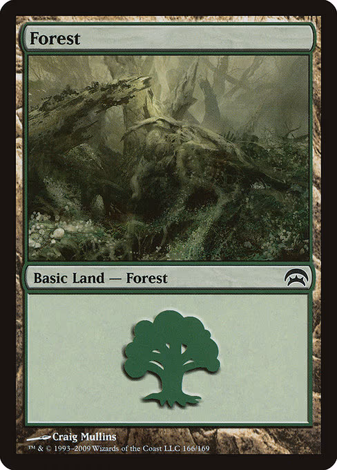 Forest - L (166)