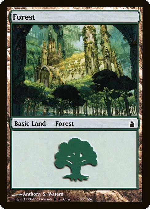 Forest - L (305)