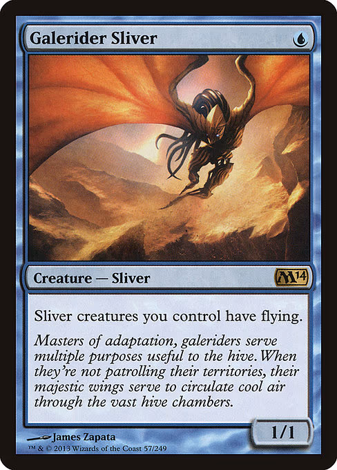 Galerider Sliver