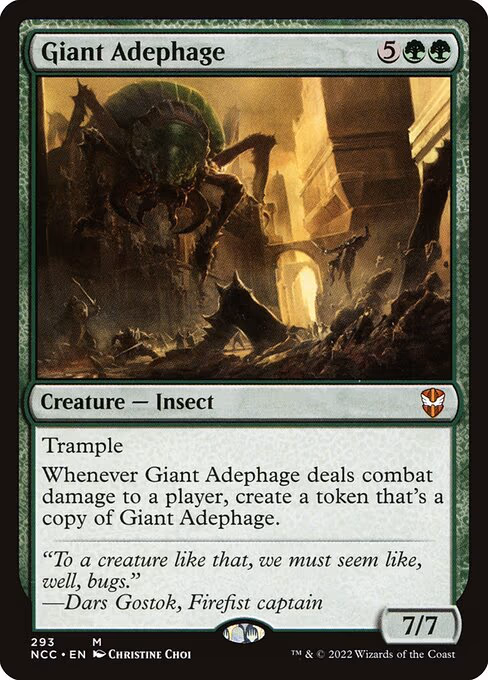 Giant Adephage - M (293)