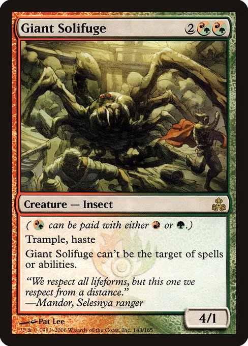 Giant Solifuge